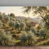Olivenhain im warmen Abendlicht - Harmonisches Bild auf Leinwand