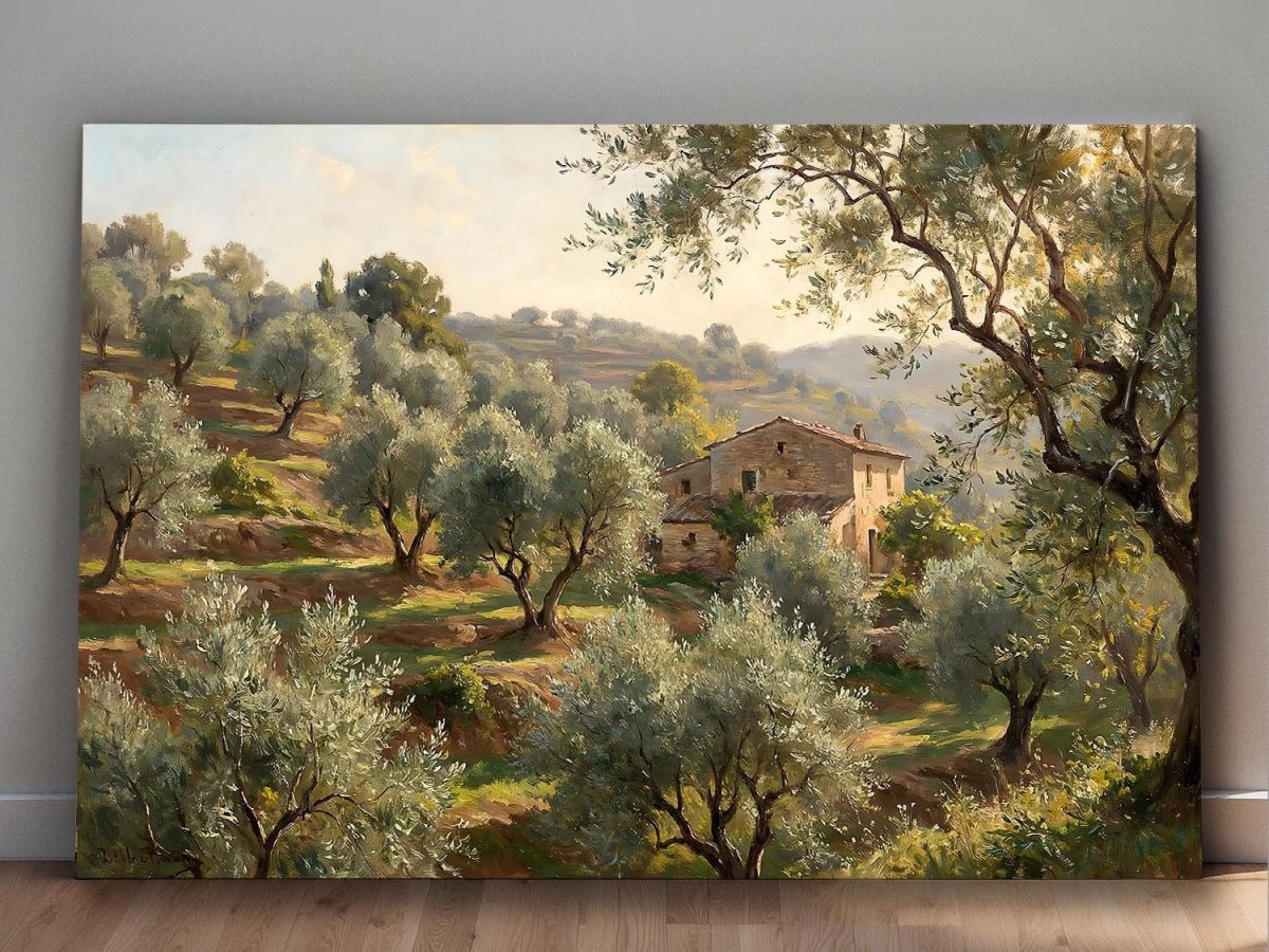 Olivenhain im warmen Abendlicht - Harmonisches Bild auf Leinwand