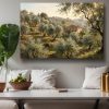 Olivenhain im warmen Abendlicht - Harmonisches Bild auf Leinwand